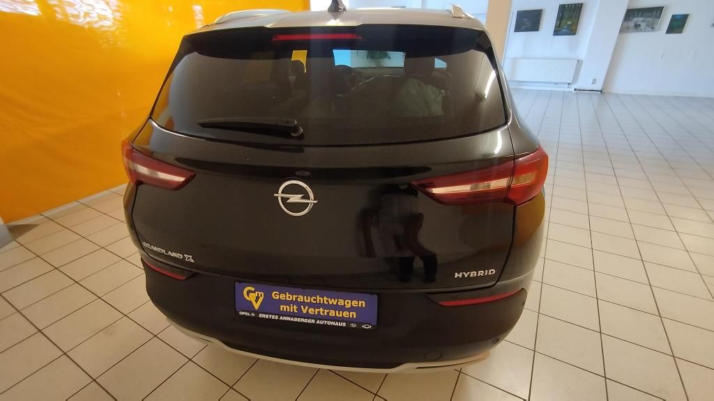 Erstes Annaberger Autohaus -  Opel GRANDLAND X Elegance AT8, LED, ParkGo, Kamera - Bild 6