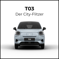 T03
