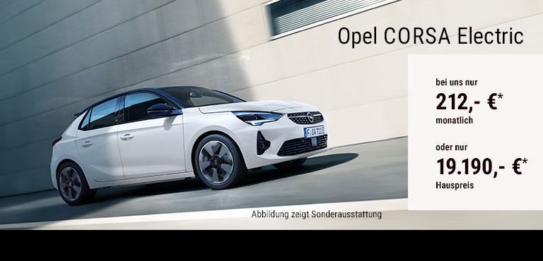Energieverbrauch WLTP: Energieverbrauch 15,8 kWh / 100 km; CO2-Emission 0 g / km; CO₂-Klasse: A; Elektrische Reichweite: 355 km