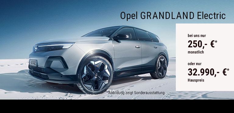 Energieverbrauch komb. WLTP: Energieverbrauch 17 kWh / 100 km; CO2-Emission 0 g / km; CO₂-Klasse: A; Elektrische Reichweite: 521 km